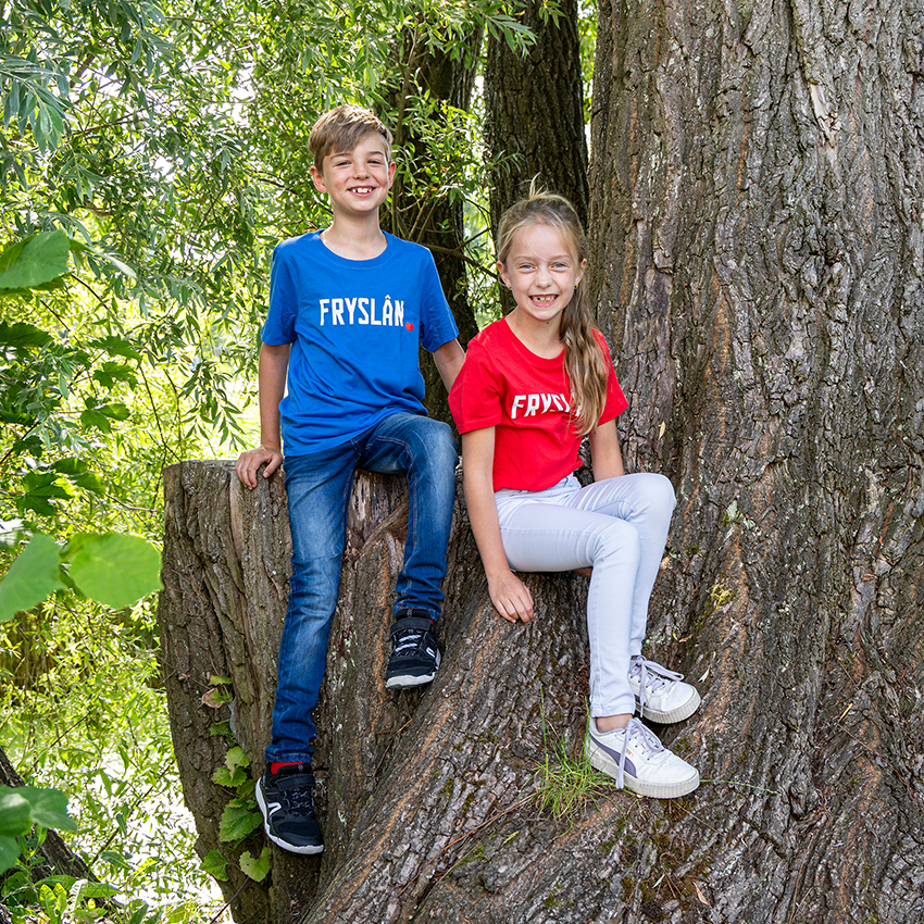 Kinder T-shirt Fryslân – Blauw